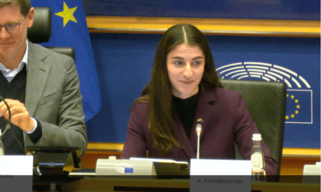 Swedish Presidency’s strategic outlines highlighted at ENVI meeting