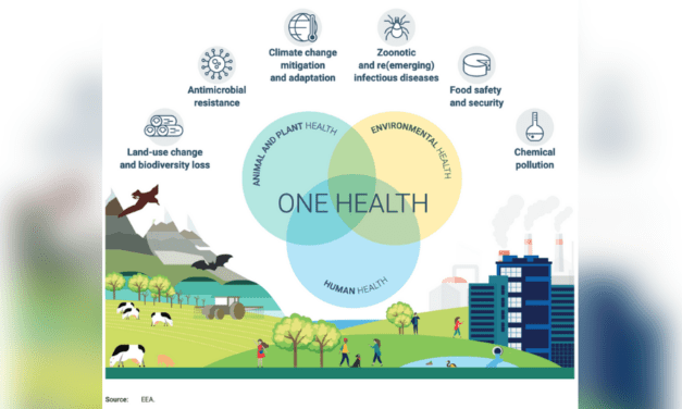 EU agencies sign statement on joint action