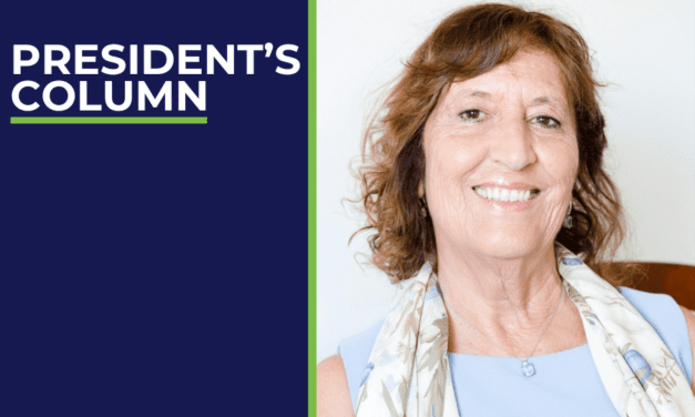 New European Parliament – longstanding and unresolved problems