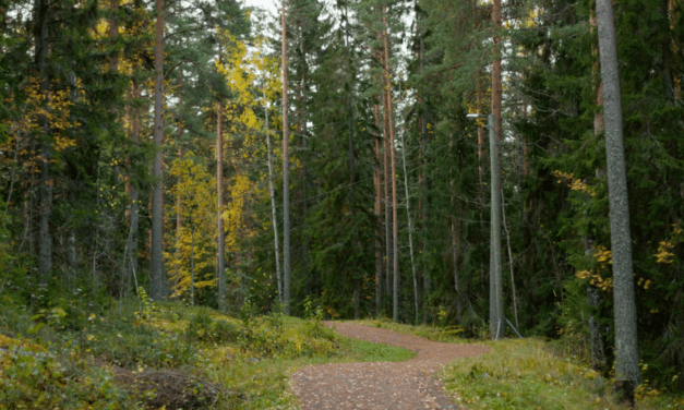 Member state sustainability projects receive EU funds