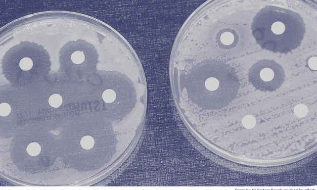 EU and global leaders commit to tackling antimicrobial resistance