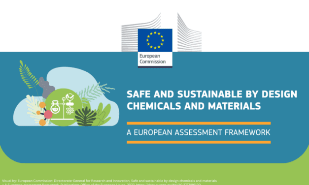 Safe and Sustainable by Design – where from, where to?