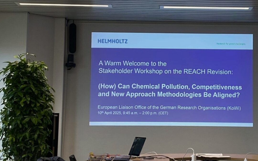 EuChemS participates in stakeholder workshop on EU chemical policy with Helmholtz Association