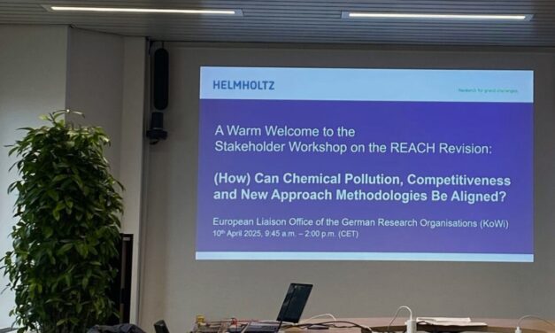 EuChemS participates in stakeholder workshop on EU chemical policy with Helmholtz Association