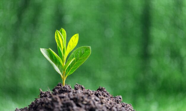 EU proposes simpler environmental rules to support sustainable growth